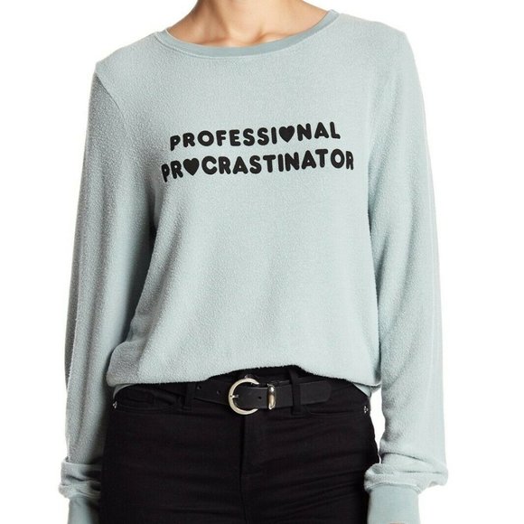 Wildfox Tops - WildFox Professional Procrastinator Sweatshirt SM
